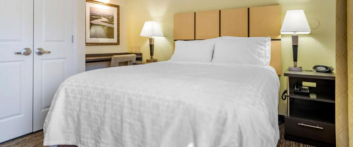 Hotels Alabaster photo